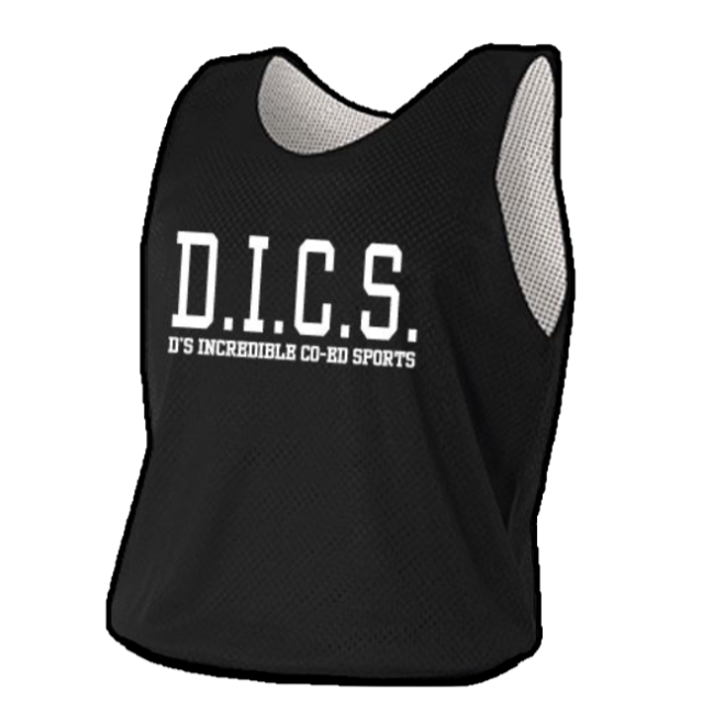 Image of DICS jersey